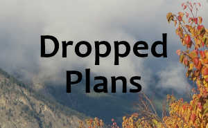 Giving up our plans can be as disappointing as seeing trees dropping their leaves, but the new leaves in spring can give us hope.