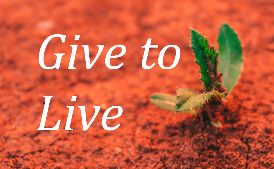 The way plants share with biology in the soil gives us an illustration of the Biblical principle that It is better to give than to receive.