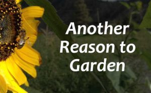 Another reason to gardem